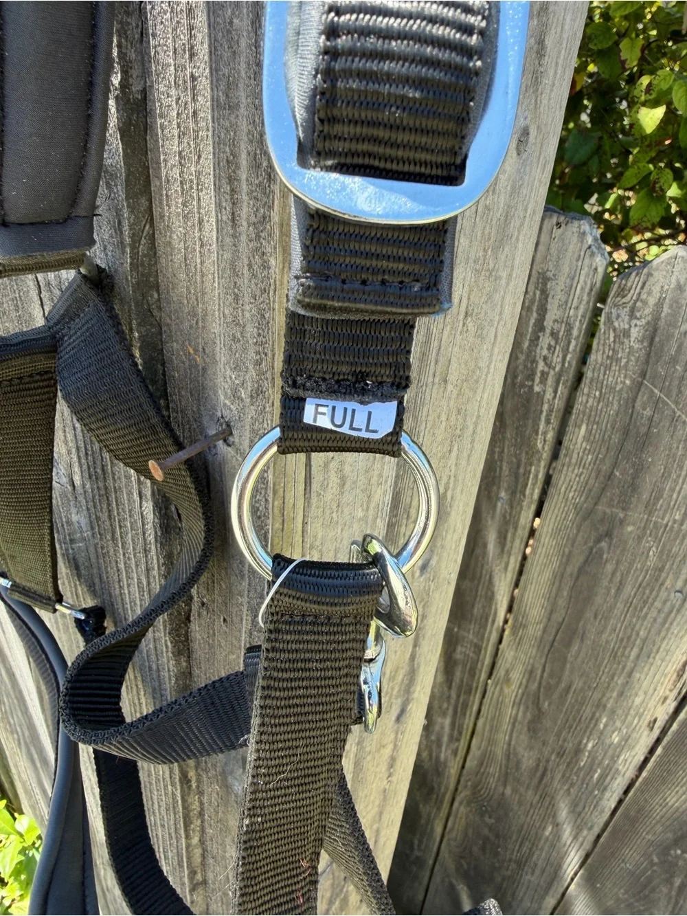NWOT Black Adjustable Nylon Halter